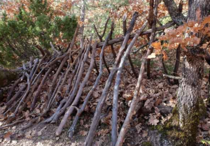 shelter ridgepole